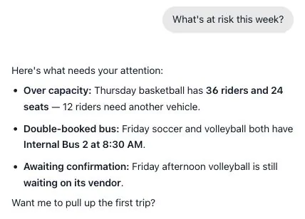 Illustrative RoadGame chat summarizing over-capacity basketball, a double-booked bus, and pending volleyball confirmation